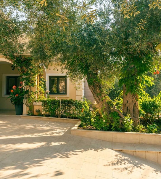 Voksenferie til Sivota med Apollo