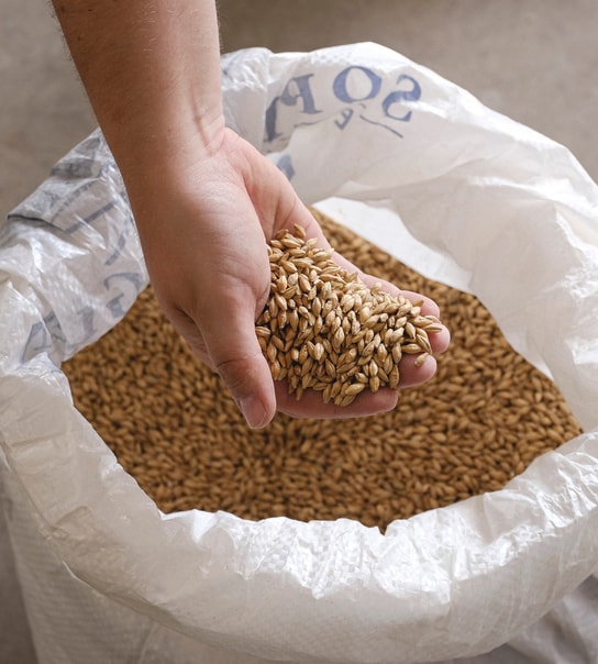 Frit valg på Øl @ Kasper Brew Co. - Specialøl fra Populært Mikrobryggeri