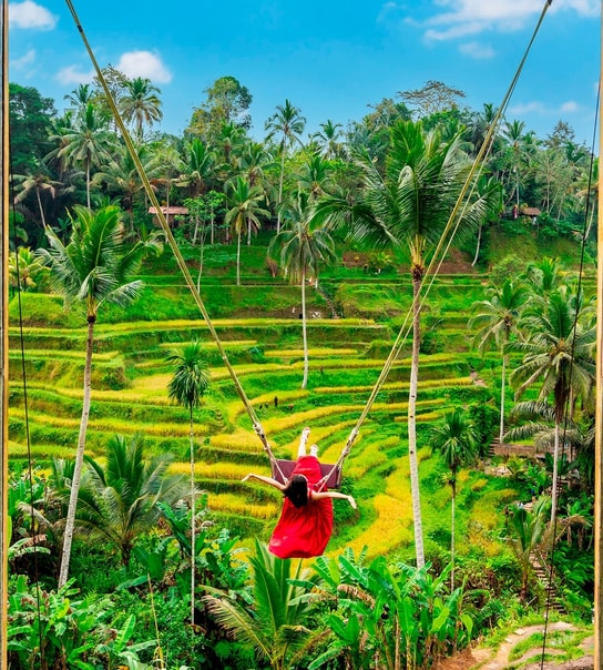 Drømmerejse til Bali