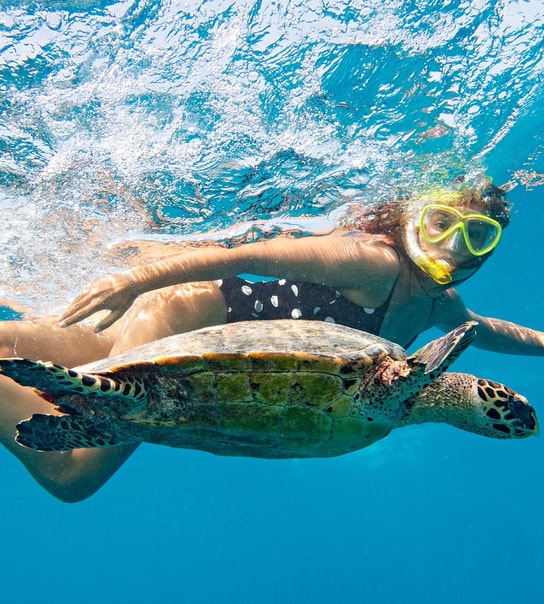 Drømmerejse til Bali