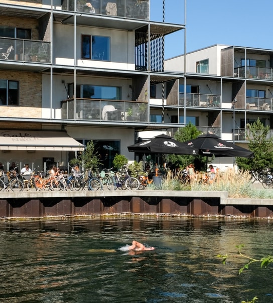 Fish n` Chips / Tartar på Café Nöah