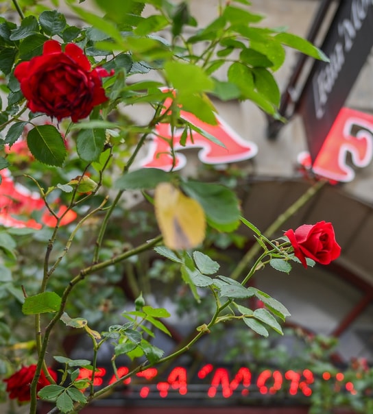 Weekendbrunch hos Café Fatamorgana