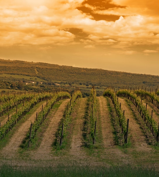 Oplev smukke Sardinien