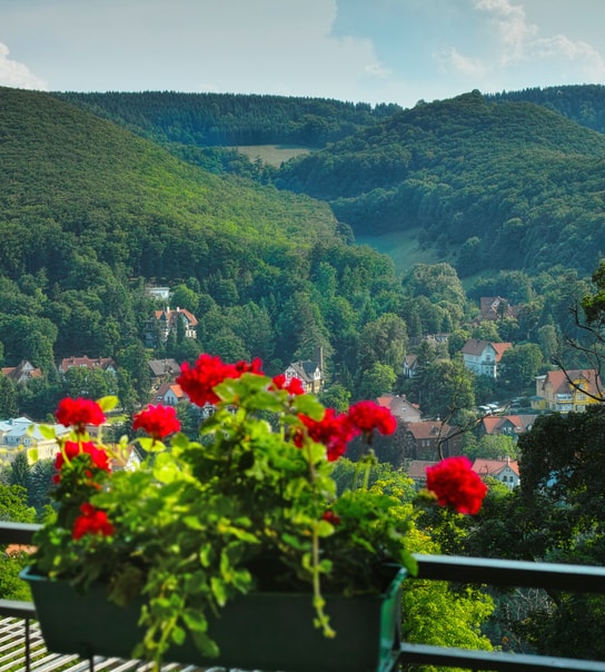 All Inclusive: Hotel Harzhöhe | 3 overnatninger