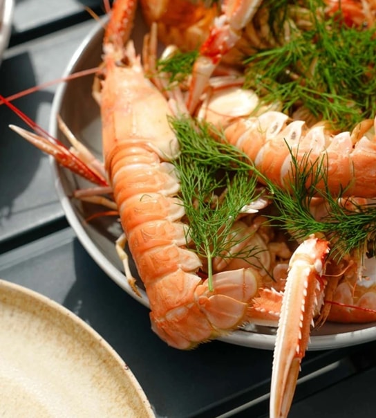 NYHED: Spa-ophold på Broløkke Herregård