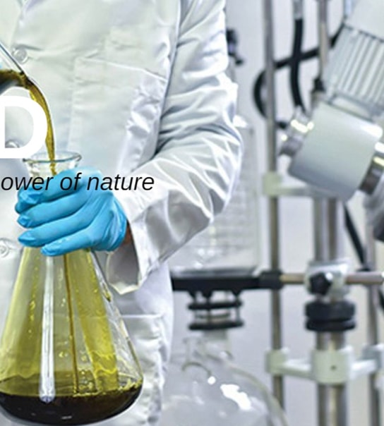 Cannaone RAW CBD-olie, 10 ml.