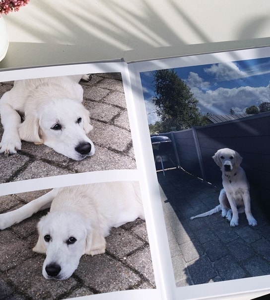 Gavekort til Fotobog