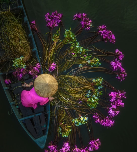 Drømmerejse til det sydlige Vietnam