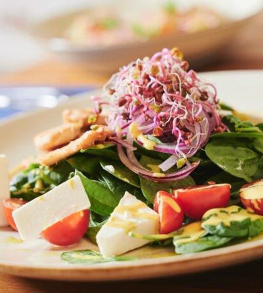 Miniferie ved den polske kyst