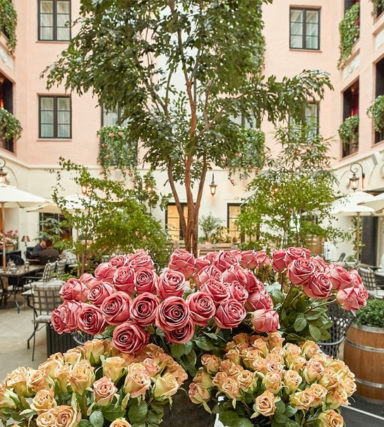 Bo på det prisvindende MJ'S