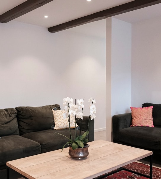 Professionelt Tandeftersyn