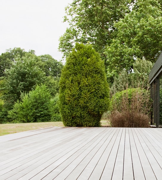 Spar 50% på en professionel fliserens