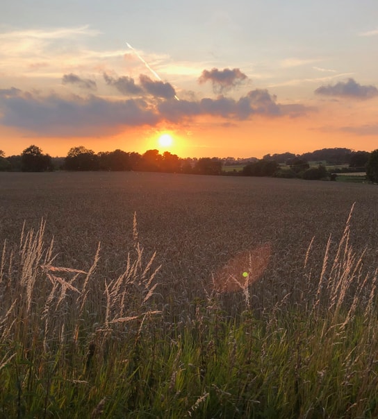 HALV PRIS: Oplev Tullesbo Sätesgård i Skåne