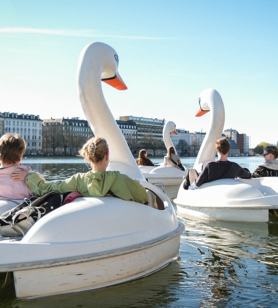 Nyd Sommervejret i en Svanebåd