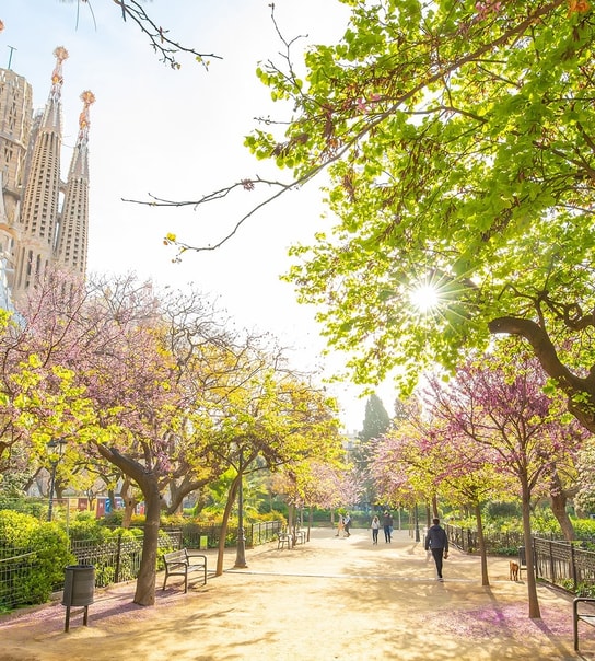 Oplev smukke Barcelona