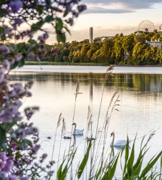 Oplev Helsinki - Finlands hovedstad