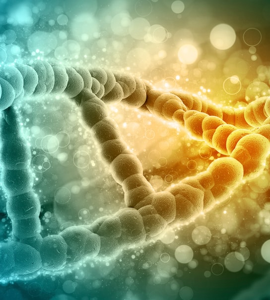 Longevity; Boost din energi og støt sund aldring med NAD+