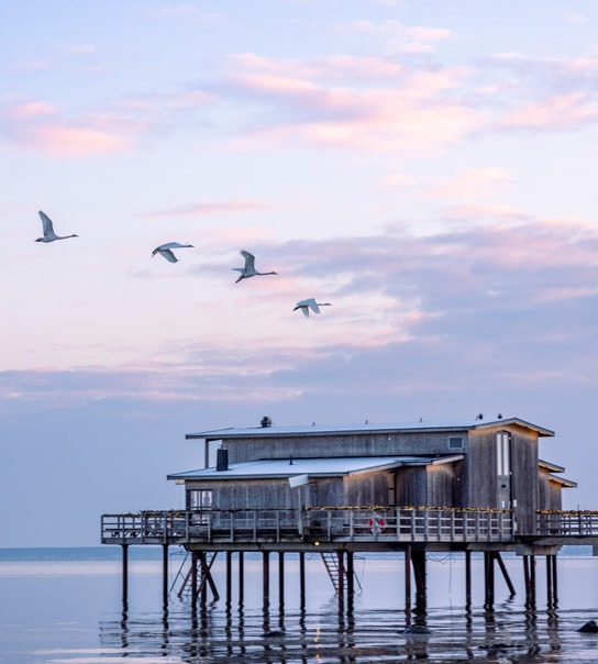 Nyd det bedste i livet på Hotel Skansen