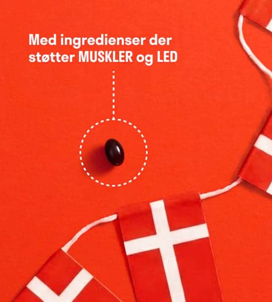 FØDSELSDAGSTILBUD: VitaePro til 99,-