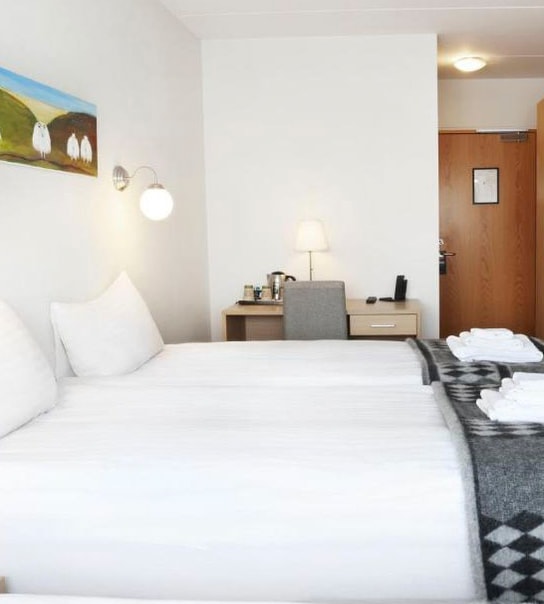 Oplevelsesrejse til Island