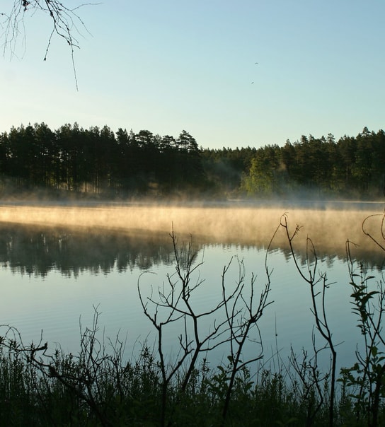 Forkælelsesophold på Hotell Bellevue