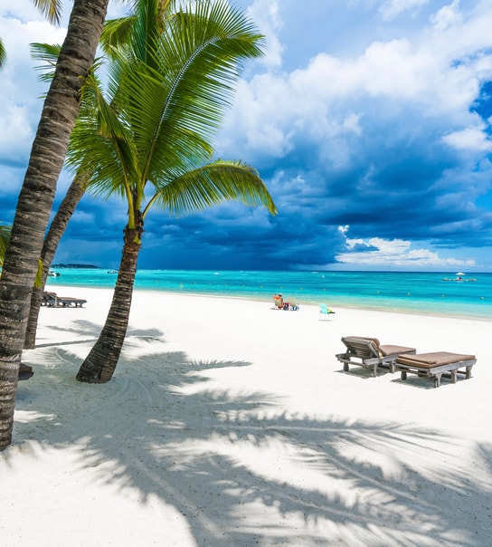 Drømmerejse til Mauritius!