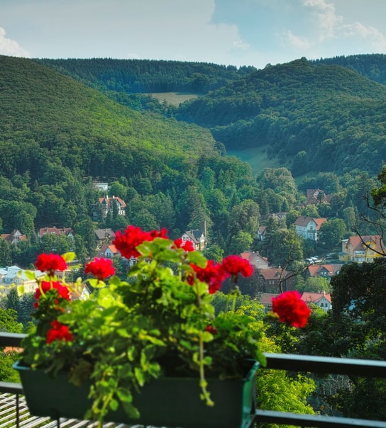 All Inclusive: Hotel Harzhöhe | 3 overnatninger