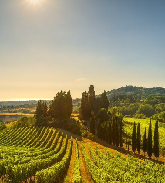 Rejs til fortryllende Toscana
