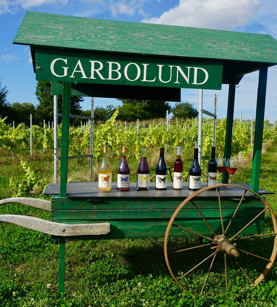 Glamping og vingårdsidyl på Garbolund