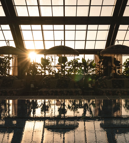 Pool Club & Dinner - Rox Resort