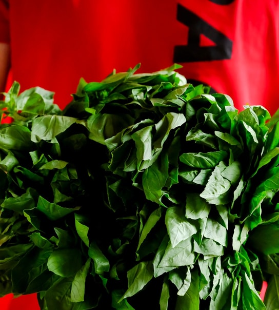 ½ PRIS: Valgfri Pastaret hos RAGU