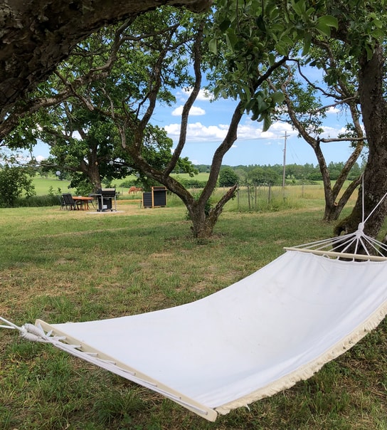 SPAR OP TIL 50 %: Glamping i den svenske natur