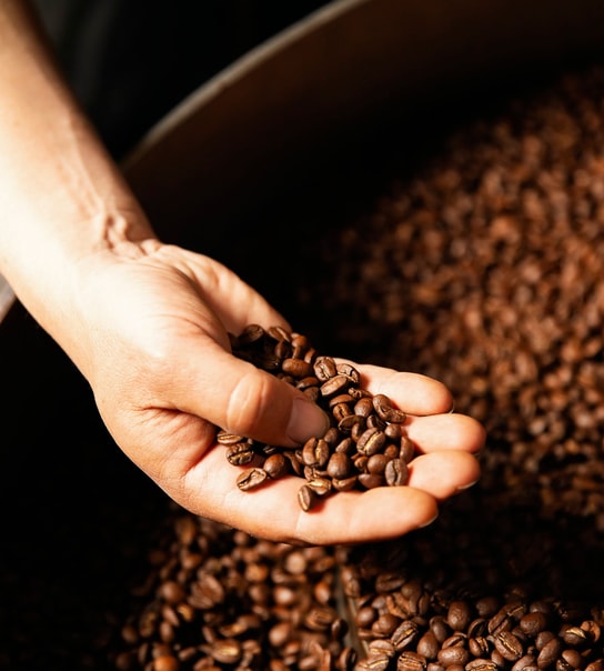 Håndplukket Kvalitetskaffe Fra Nordhavn Coffee Roasters - Nu Til Ekstra Skarp Pris!