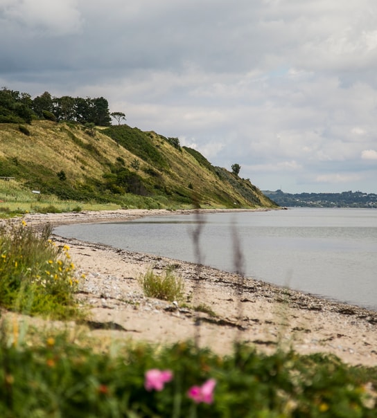 Fuglsøcentret i Mols Bjerge