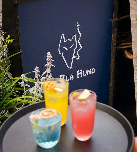 Cocktails & Snacks - Den Blå Hund's Nyåbnede Udebar på Frederiksberg