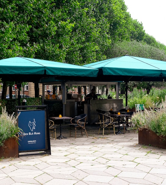 Cocktails & Snacks - Den Blå Hund's Nyåbnede Udebar på Frederiksberg