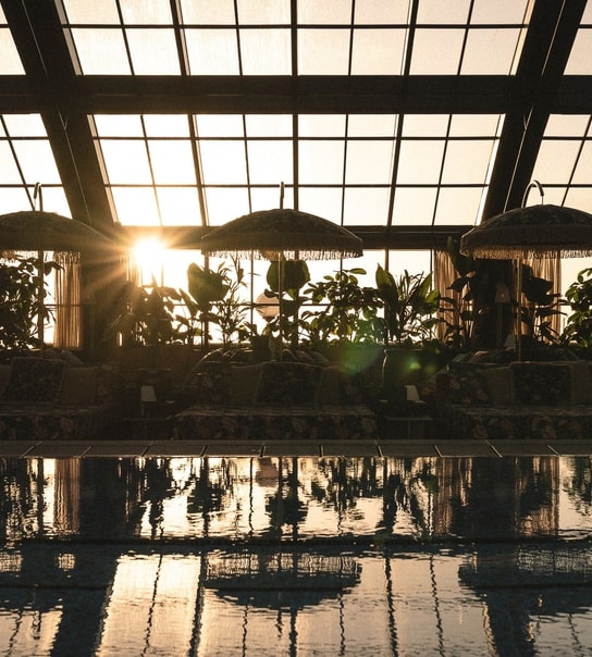 Pool Club & Dinner - Rox Resort