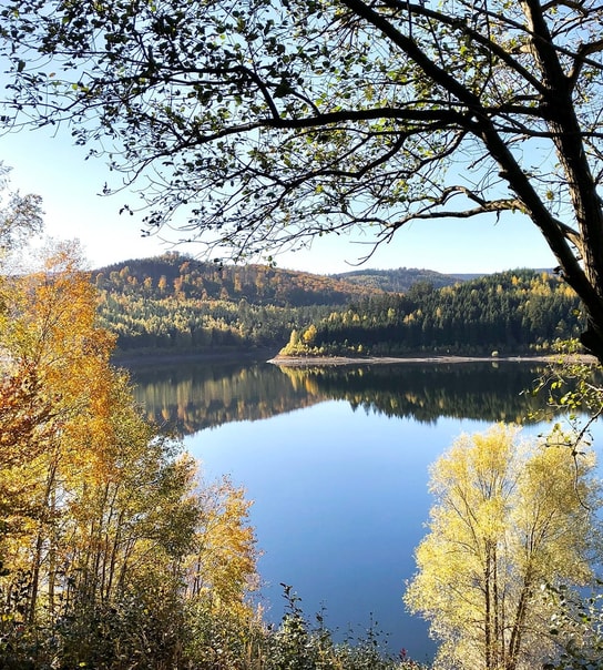 All Inclusive-ferie i Harzen - Hotel Allrode