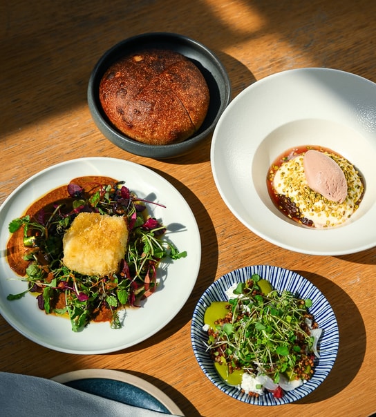 4-Retters Frokostmenu på Gemini
