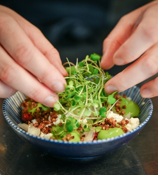 4-Retters Frokostmenu på Gemini