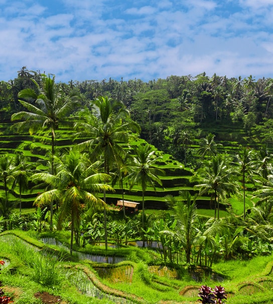 Drømmerejsen - Ø-hop på Bali, Gili-øerne og Nusa Lembongan