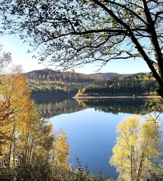 All Inclusive-ferie i populære, bjergrige Harzen - Hotel Allrode