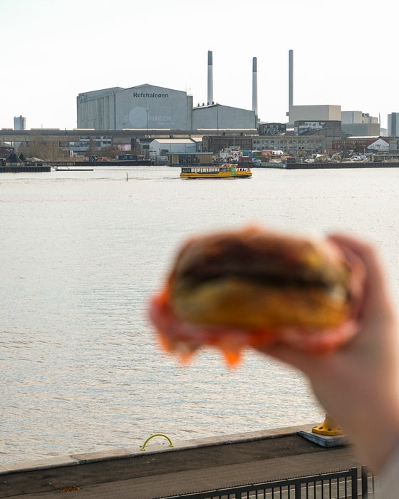 Valgfri Burger hos Hungry Dane