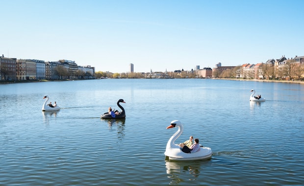 4 Svanebåd
