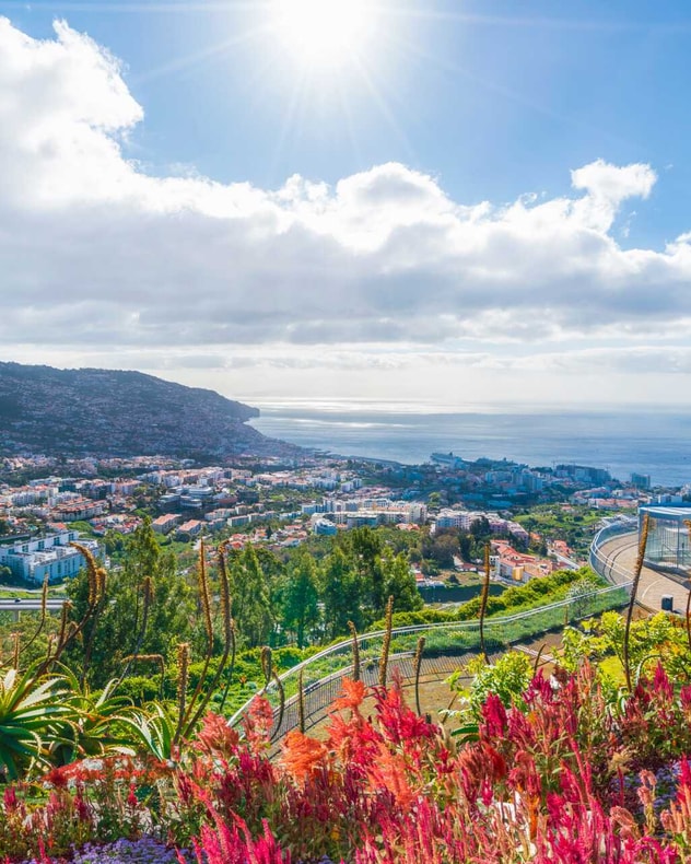 Solferie til Madeira med Apollo billede 3