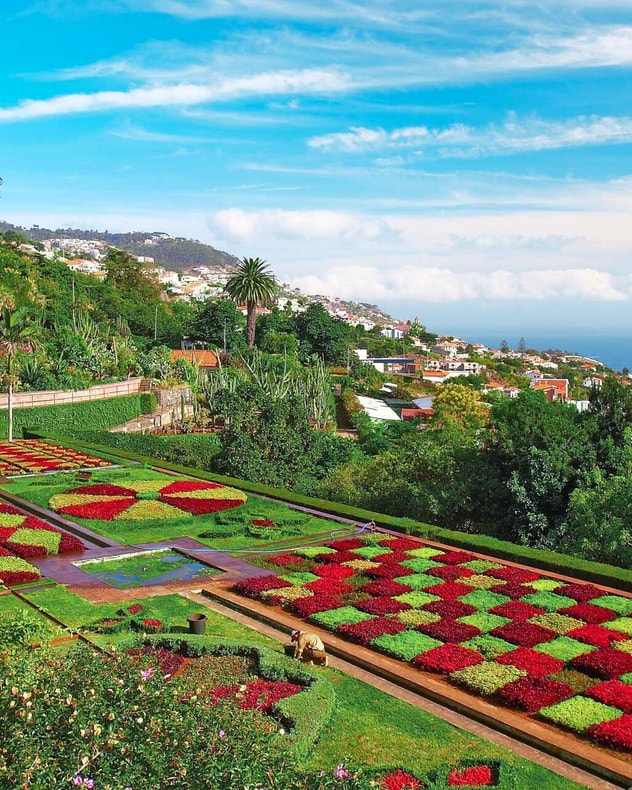 Solferie til Madeira med Apollo billede 5