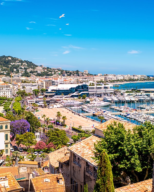 Oplev Den Franske Riviera billede 7