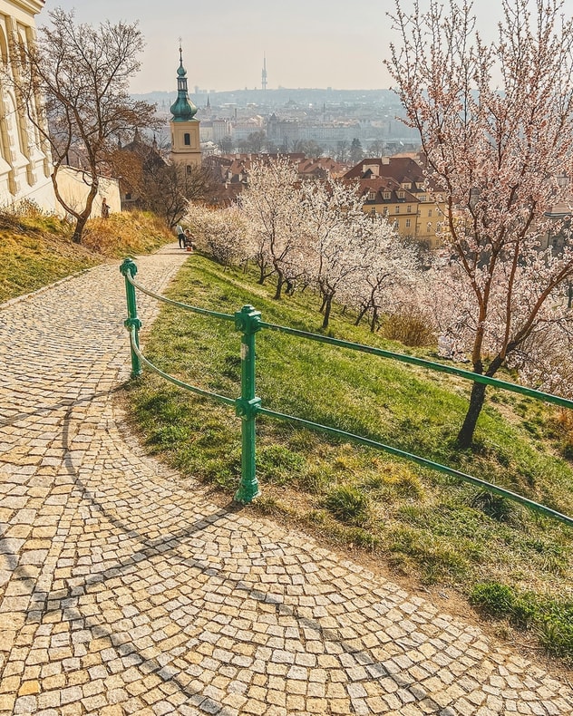 Storbyrejse til fantastiske Prag billede 3