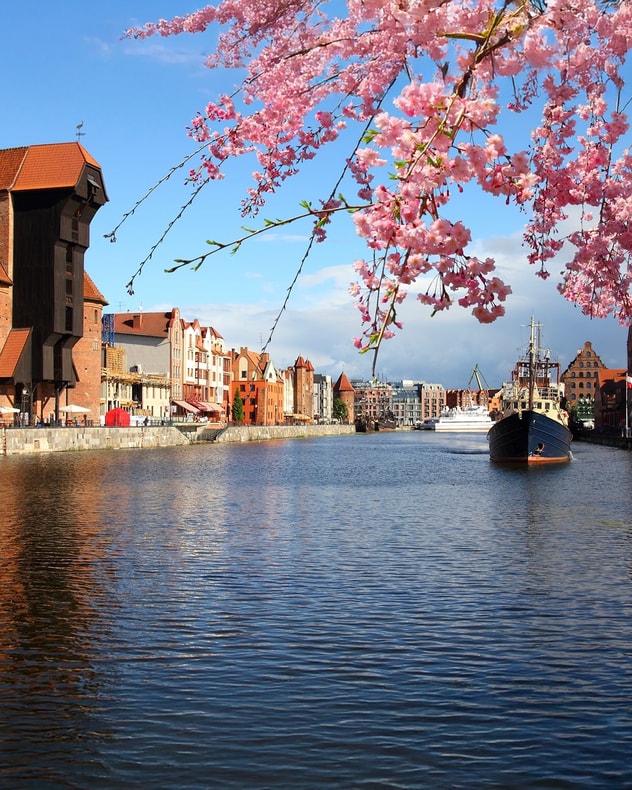 Miniferie i Gdansk på budget billede 7