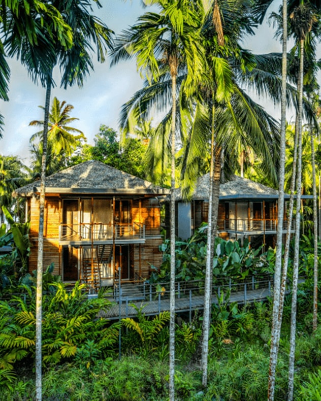 Rundrejse i Indien: Taj Mahal, Nicobarerne og Tigersafari billede 4